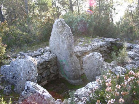 dolmen de brignoles 3 (brignoles)