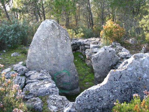 dolmen de brignoles 3 (brignoles)
