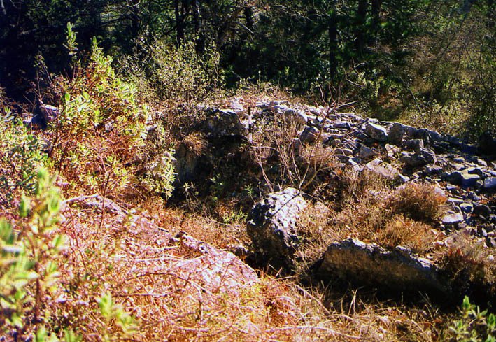 dolmen des bernards (saint-cézaire)