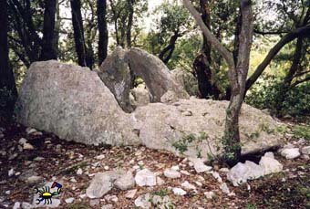 dolmen de riens
