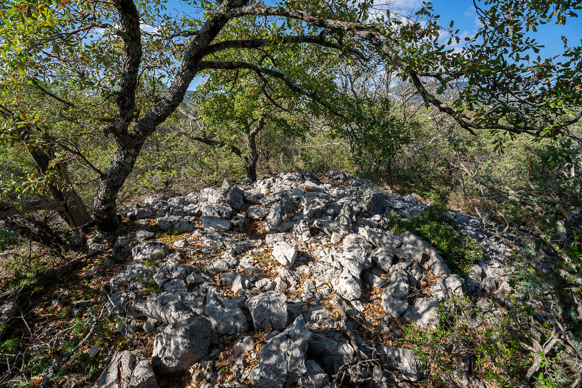 03 A7R04650 web