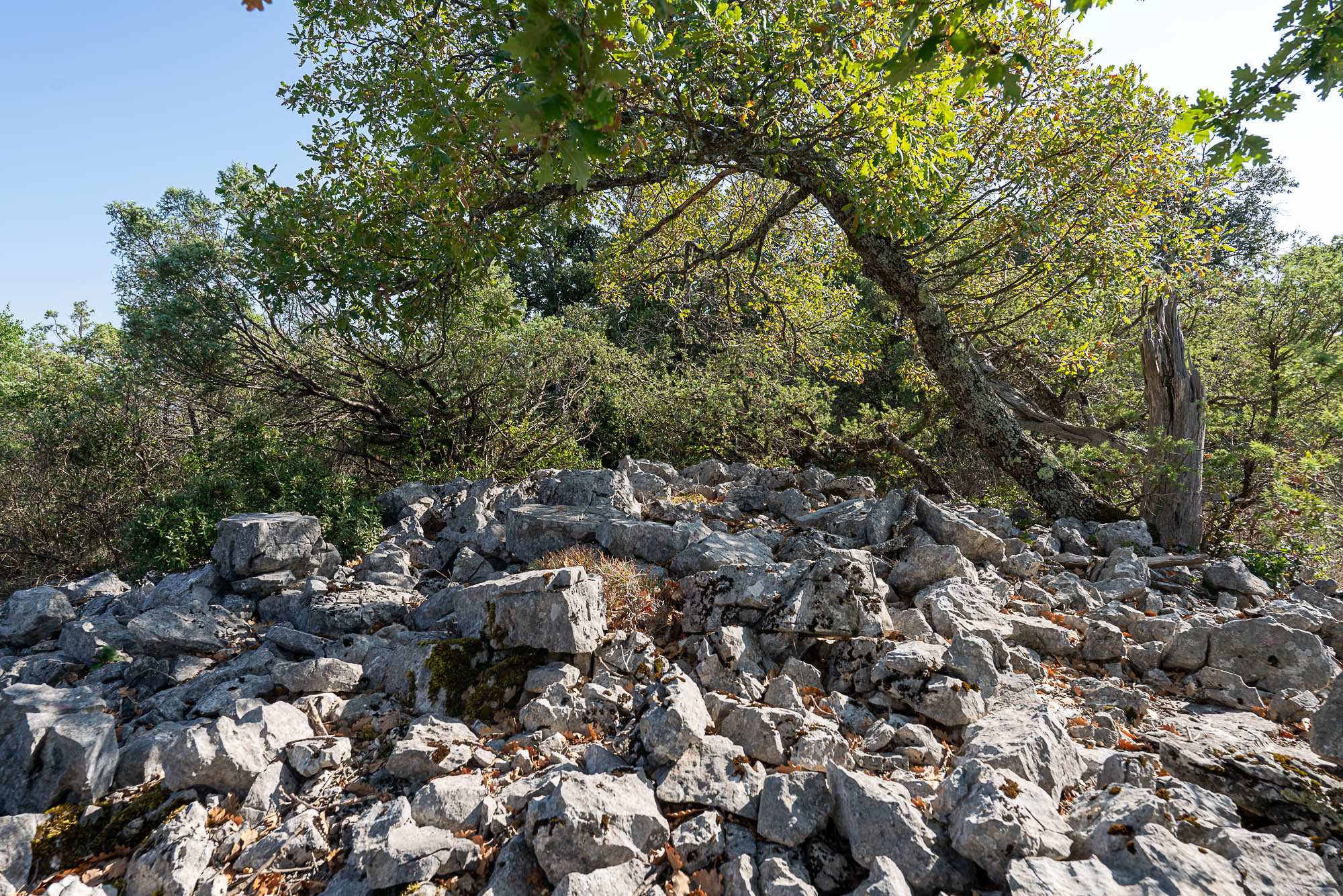 04 A7R04655 web