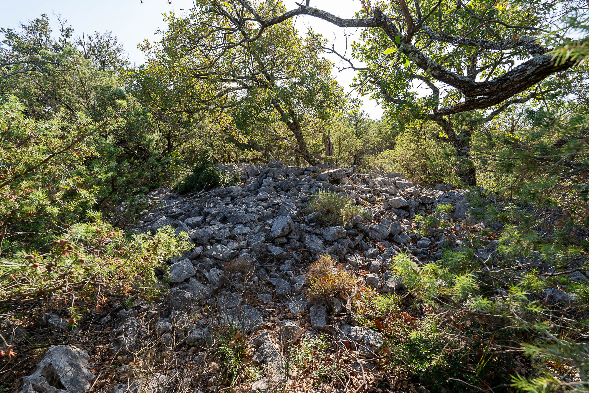 05 A7R04654 web