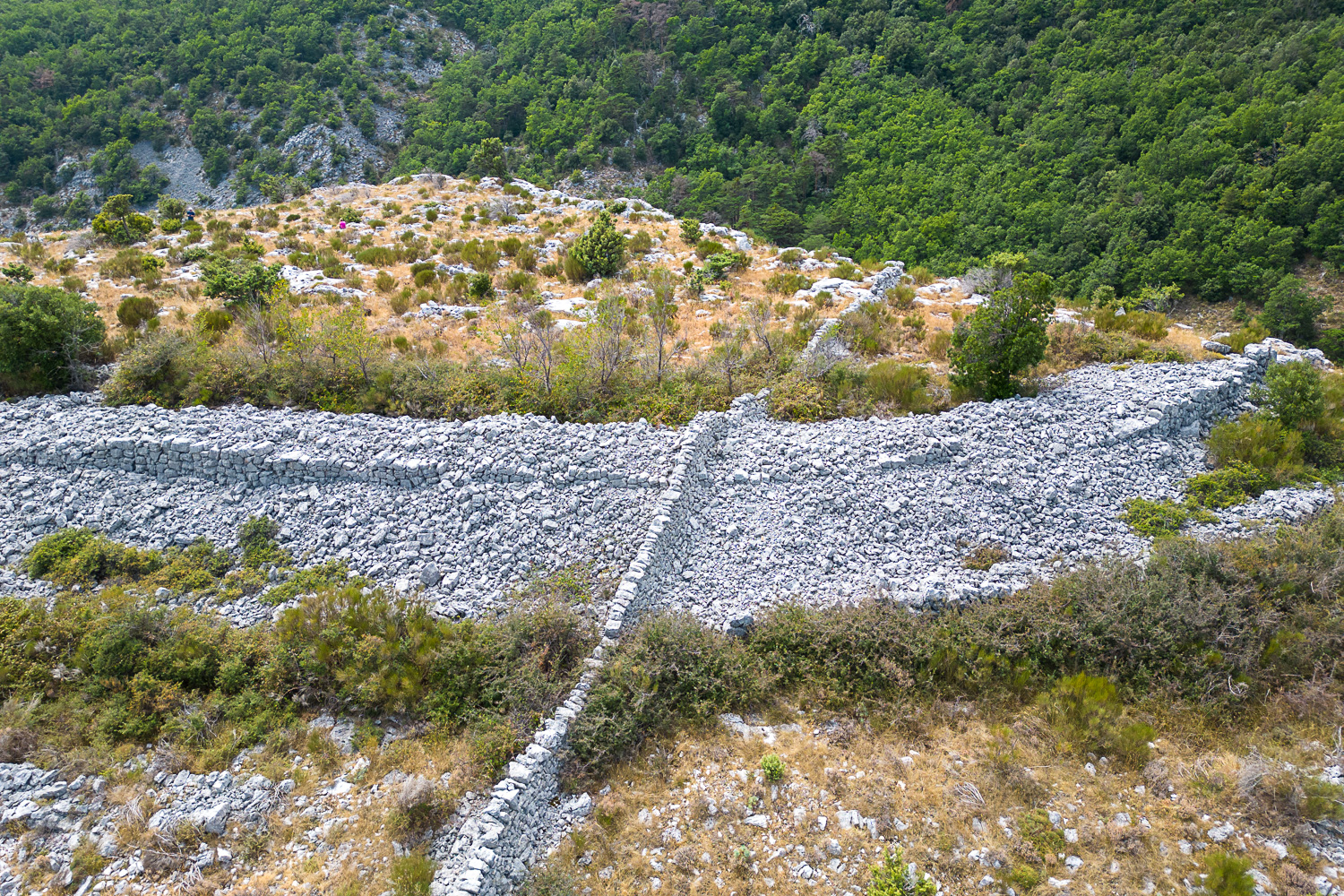 DJI 0117 web