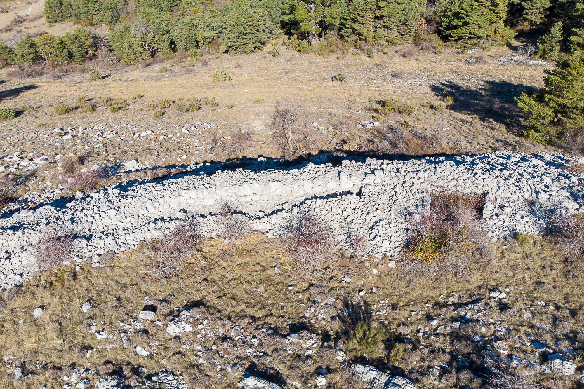 DJI 0700 web